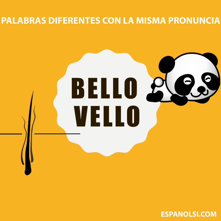 bello y vello- la misma pronuncia